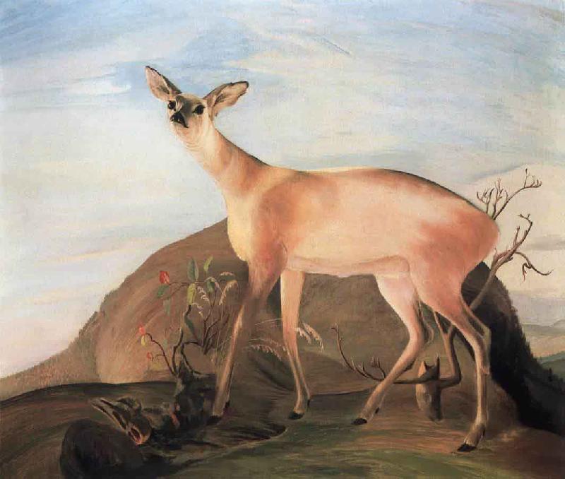 Kosztka, Tivadar Csontvry Deer oil painting image